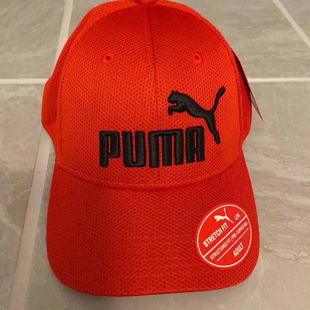Puma fitted cap